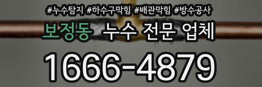 보정동 누수 전문 업체
