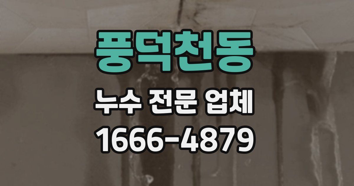 풍덕천동 누수 전문 업체