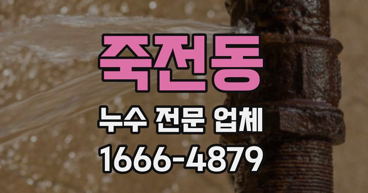 죽전동 누수 전문 업체