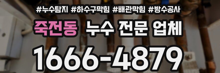 죽전동 누수 전문 업체