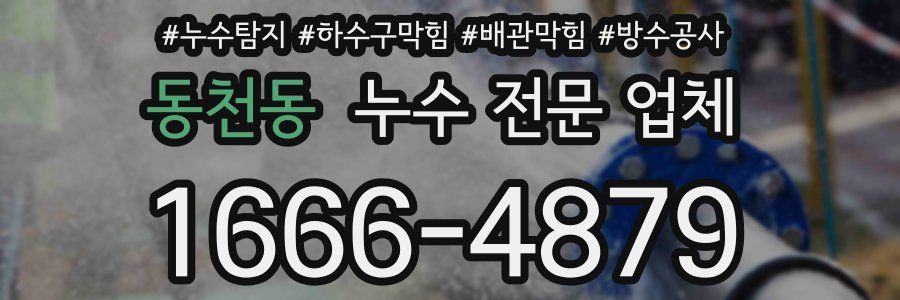 동천동 누수 전문 업체