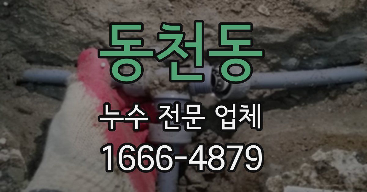 동천동 누수 전문 업체