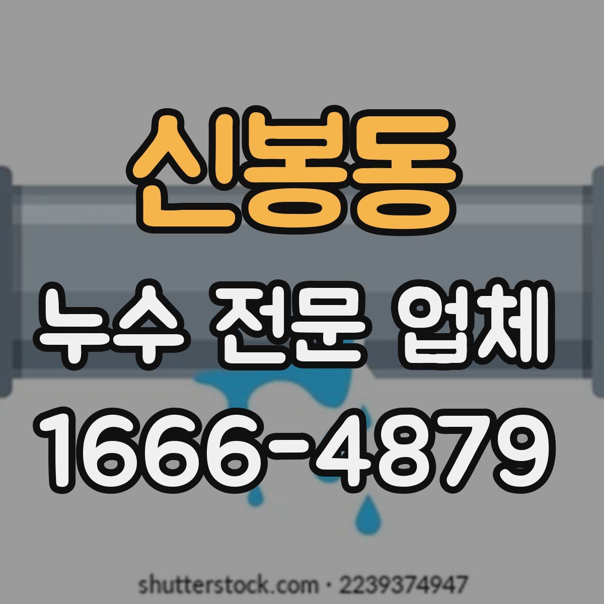 신봉동 누수 전문 업체