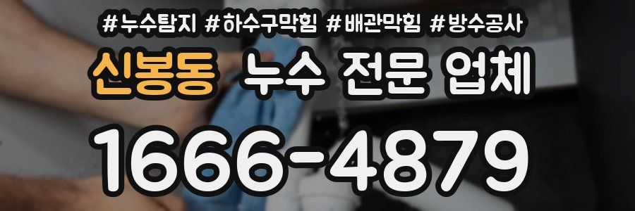 신봉동 누수 전문 업체