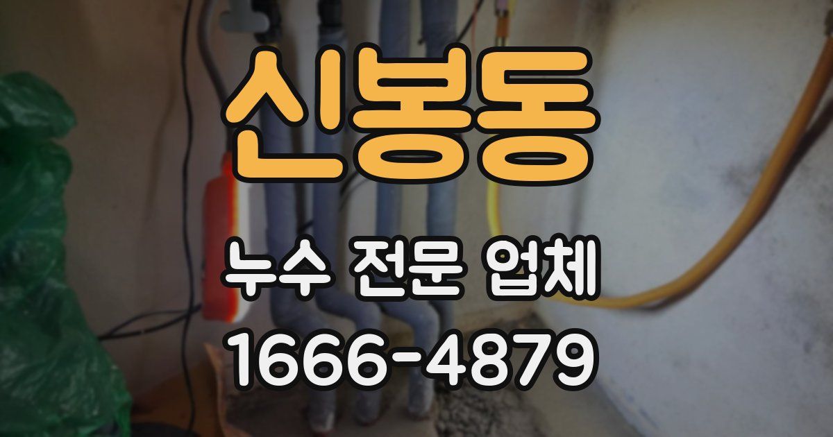 신봉동 누수 전문 업체