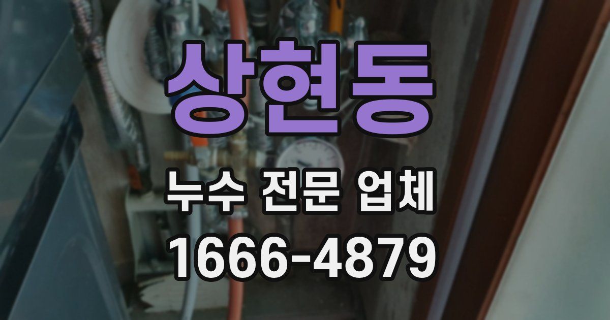 상현동 누수 전문 업체