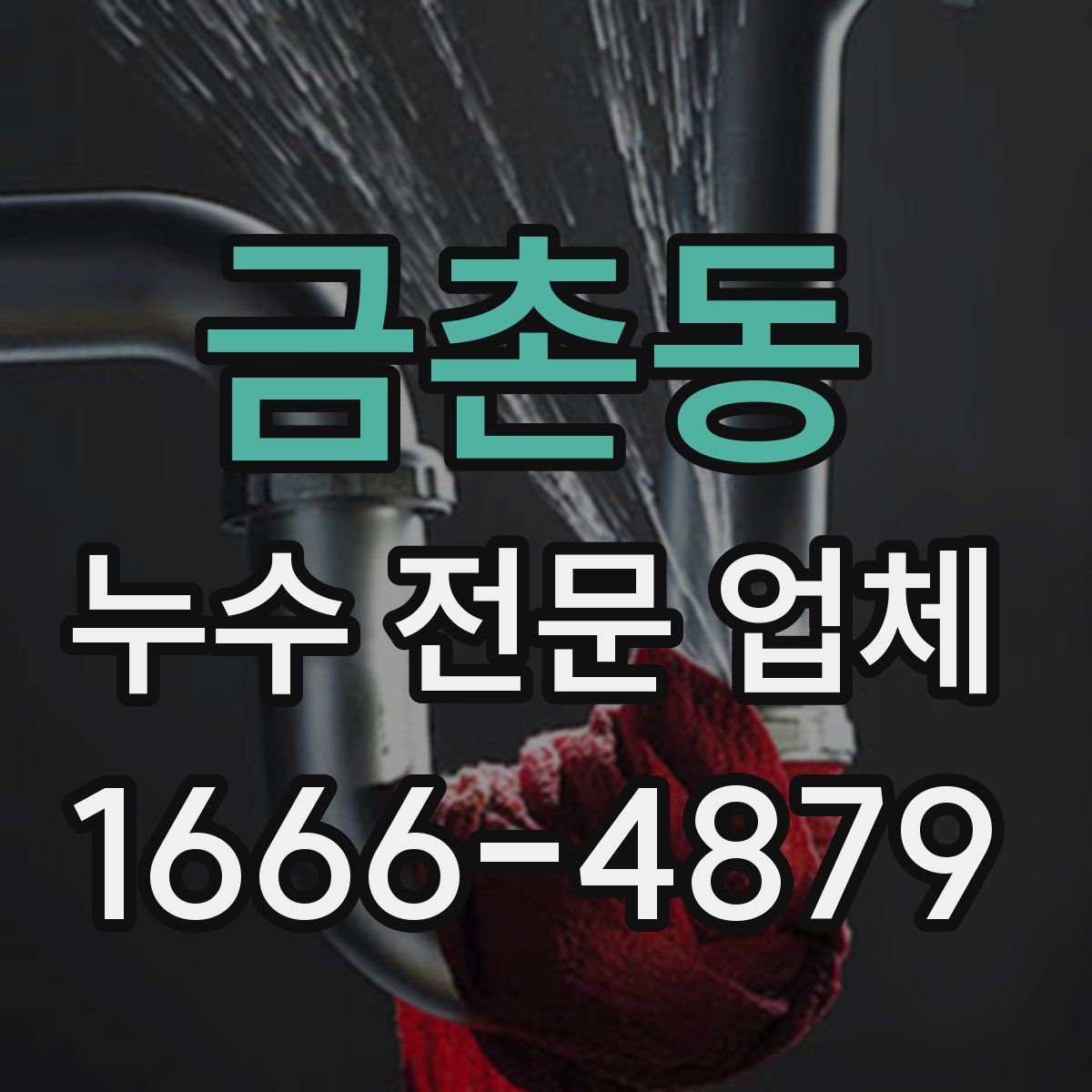 금촌동 누수 전문 업체