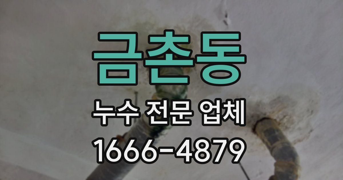 금촌동 누수 전문 업체
