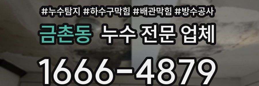 금촌동 누수 전문 업체