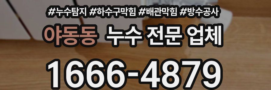 야동동 누수 전문 업체