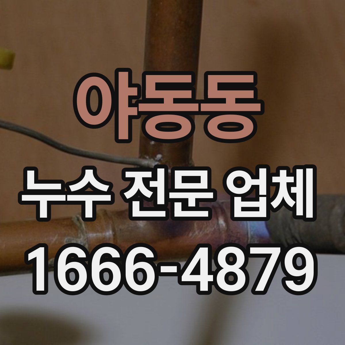 야동동 누수 전문 업체