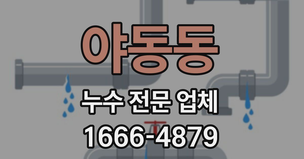 야동동 누수 전문 업체