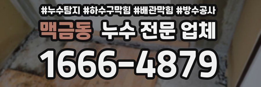 맥금동 누수 전문 업체