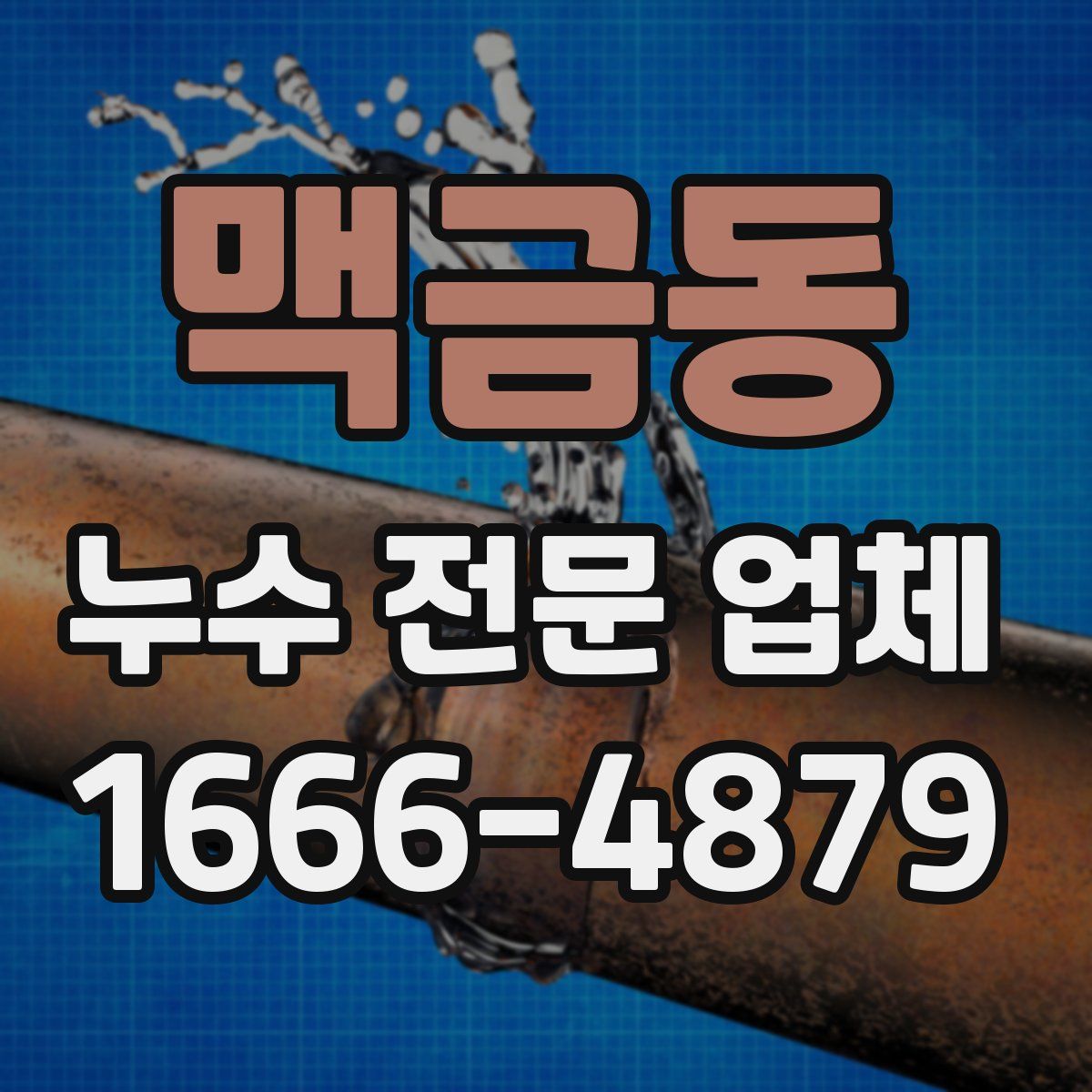 맥금동 누수 전문 업체