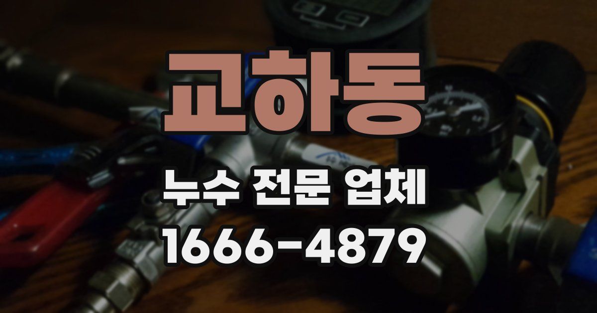 교하동 누수 전문 업체