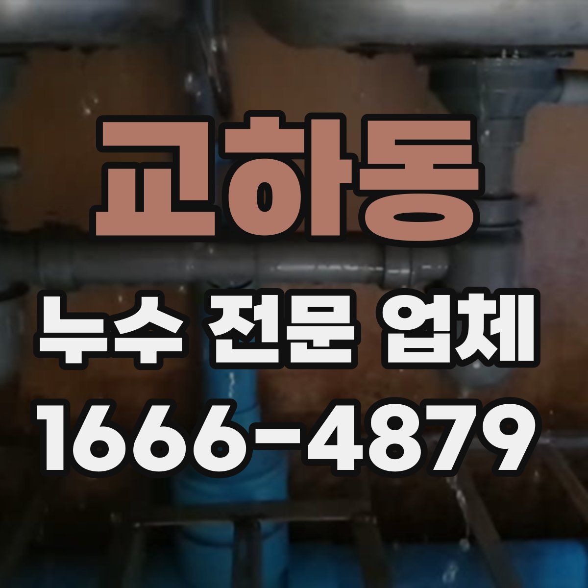교하동 누수 전문 업체