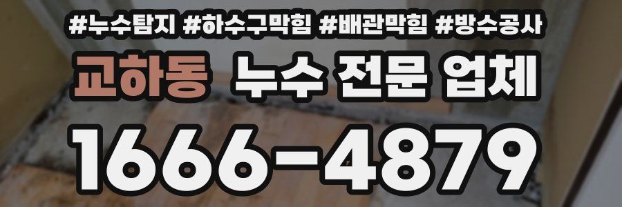 교하동 누수 전문 업체