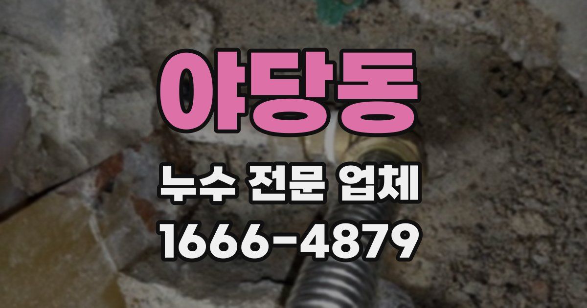 야당동 누수 전문 업체