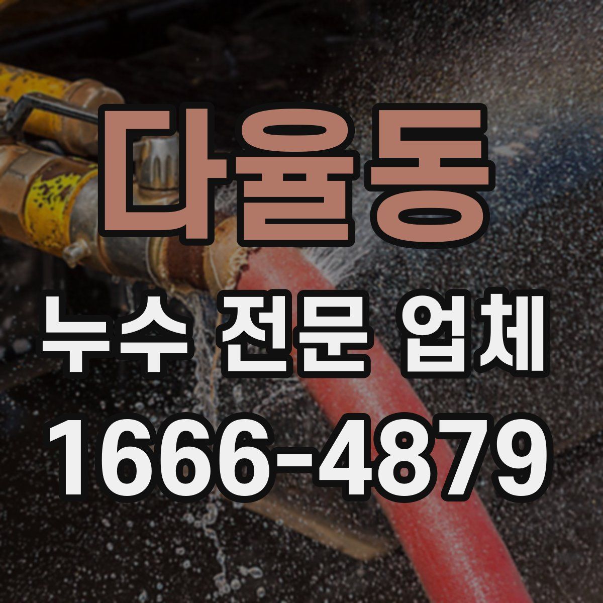 다율동 누수 전문 업체