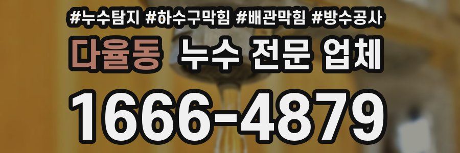다율동 누수 전문 업체
