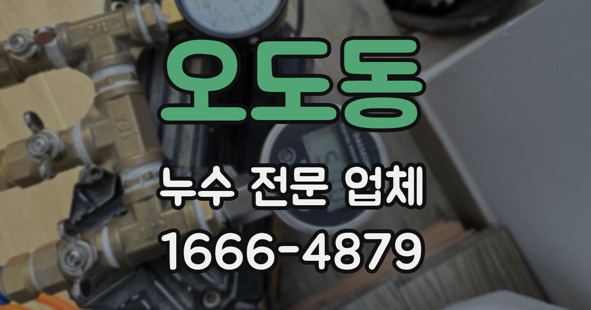 오도동 누수 전문 업체