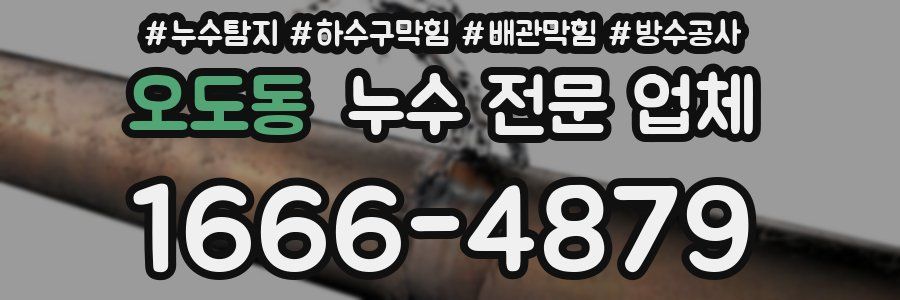 오도동 누수 전문 업체