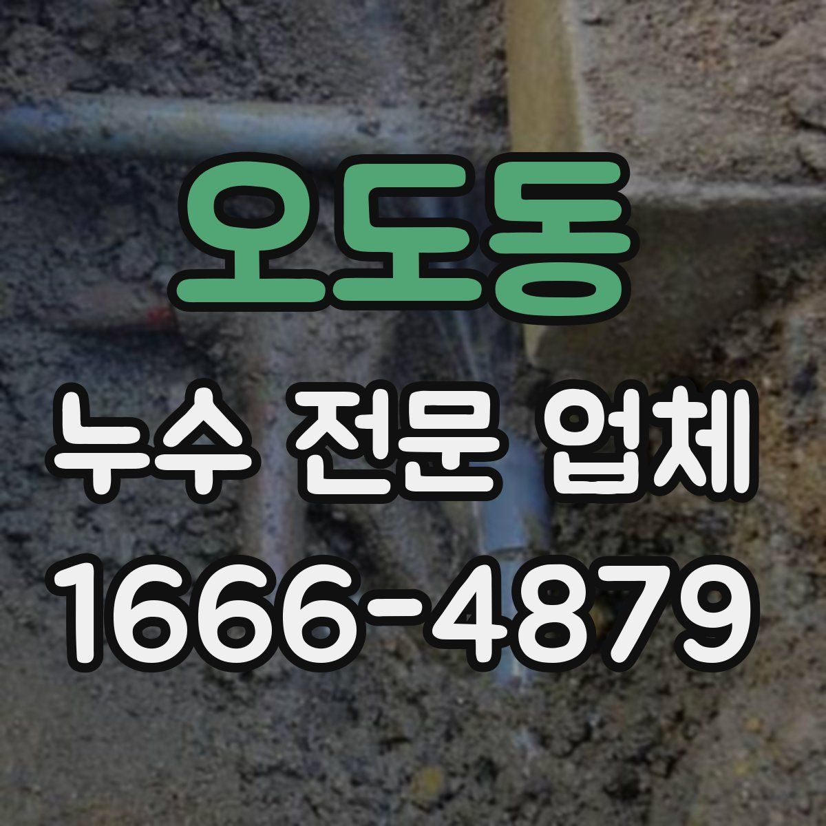 오도동 누수 전문 업체