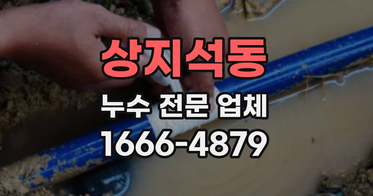 상지석동 누수 전문 업체