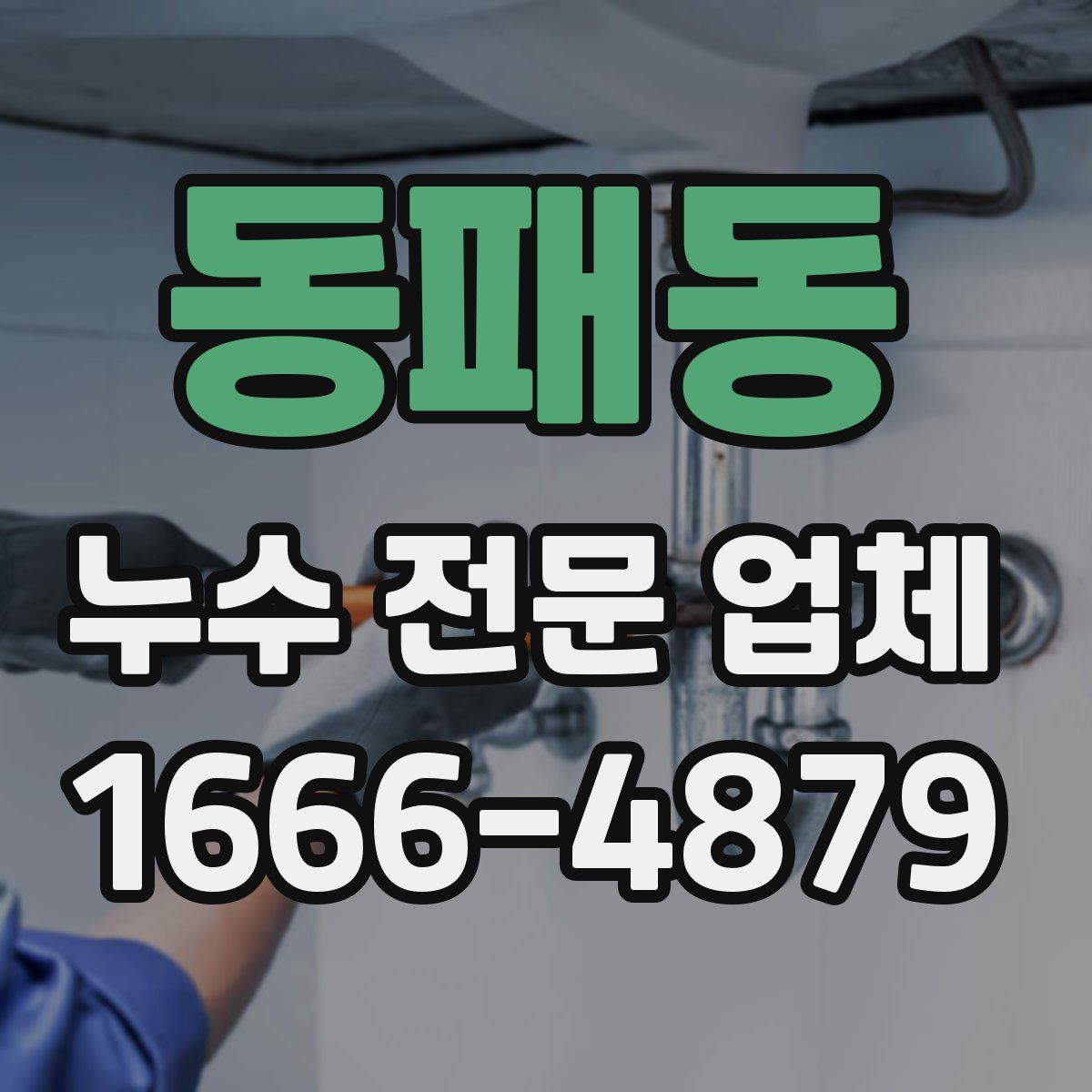 동패동 누수 전문 업체