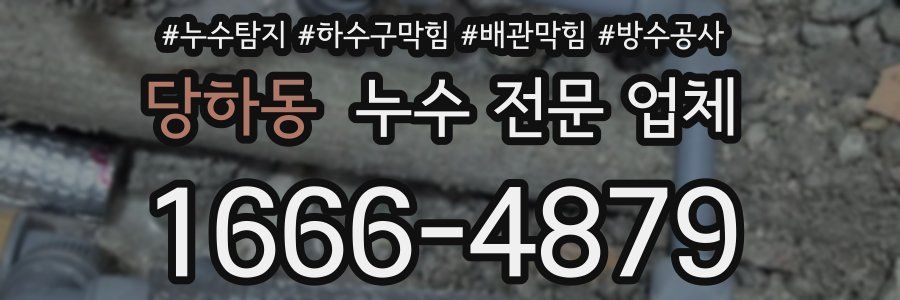 당하동 누수 전문 업체