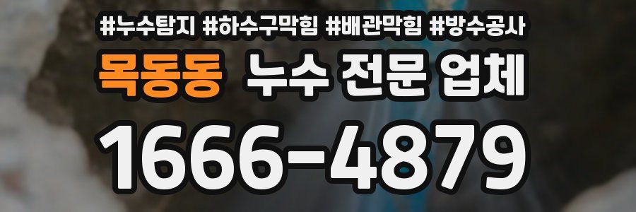 목동동 누수 전문 업체