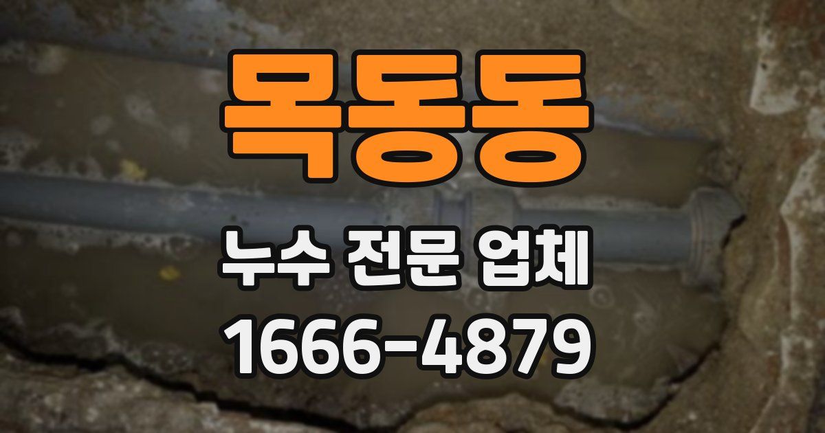 목동동 누수 전문 업체