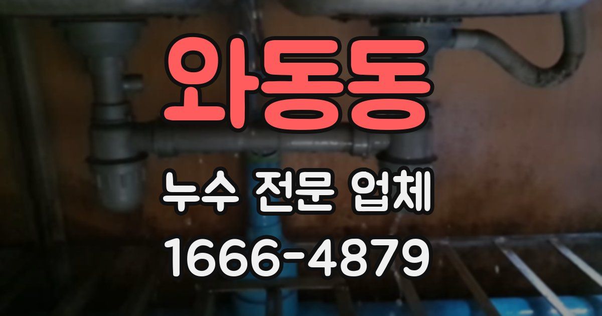 와동동 누수 전문 업체