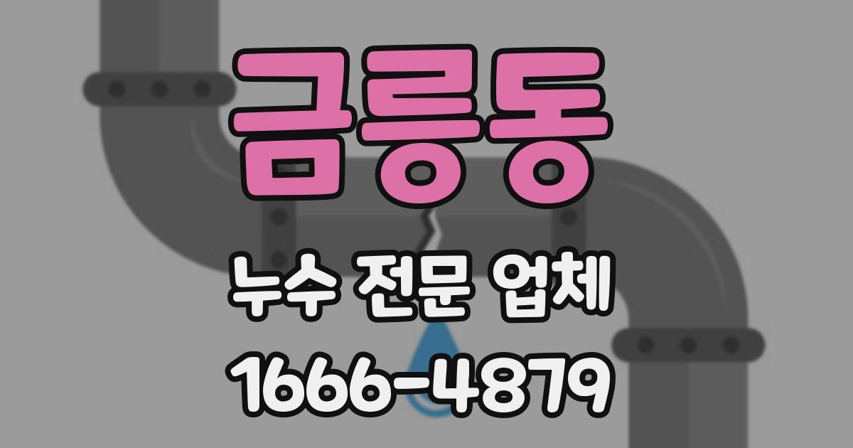 금릉동 누수 전문 업체