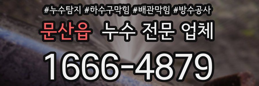 문산읍 누수 전문 업체