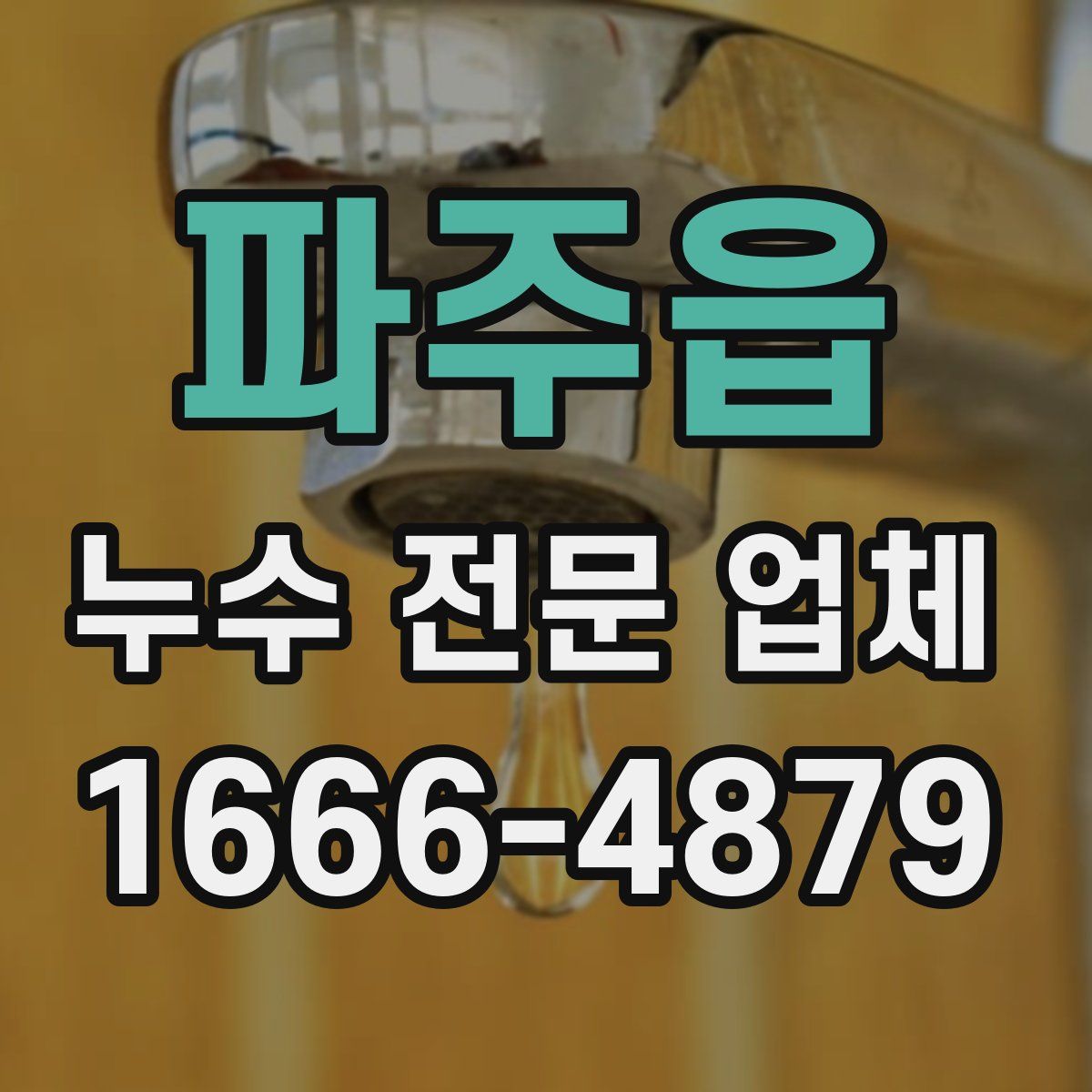 파주읍 누수 전문 업체