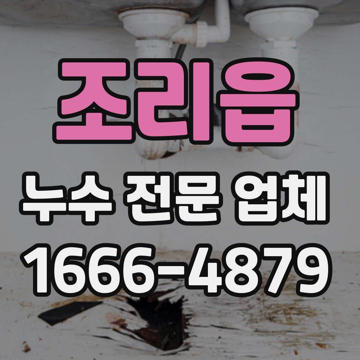 조리읍 누수 전문 업체