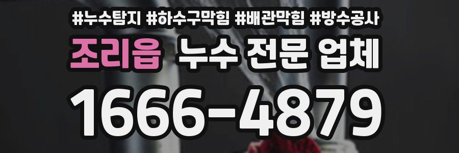조리읍 누수 전문 업체