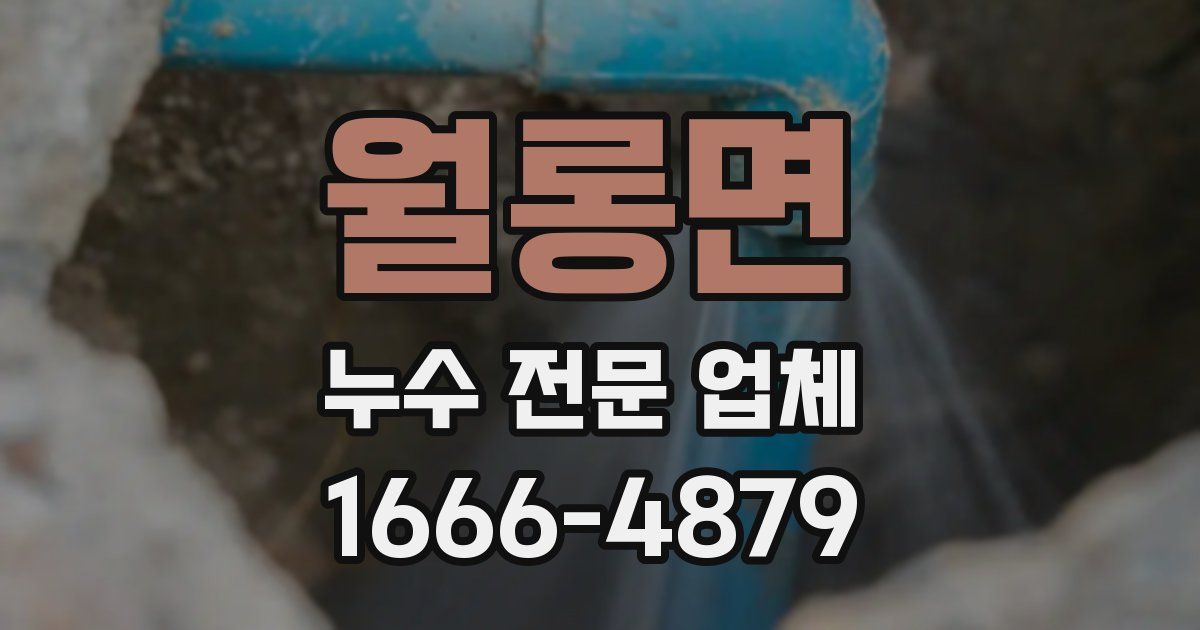 월롱면 누수 전문 업체