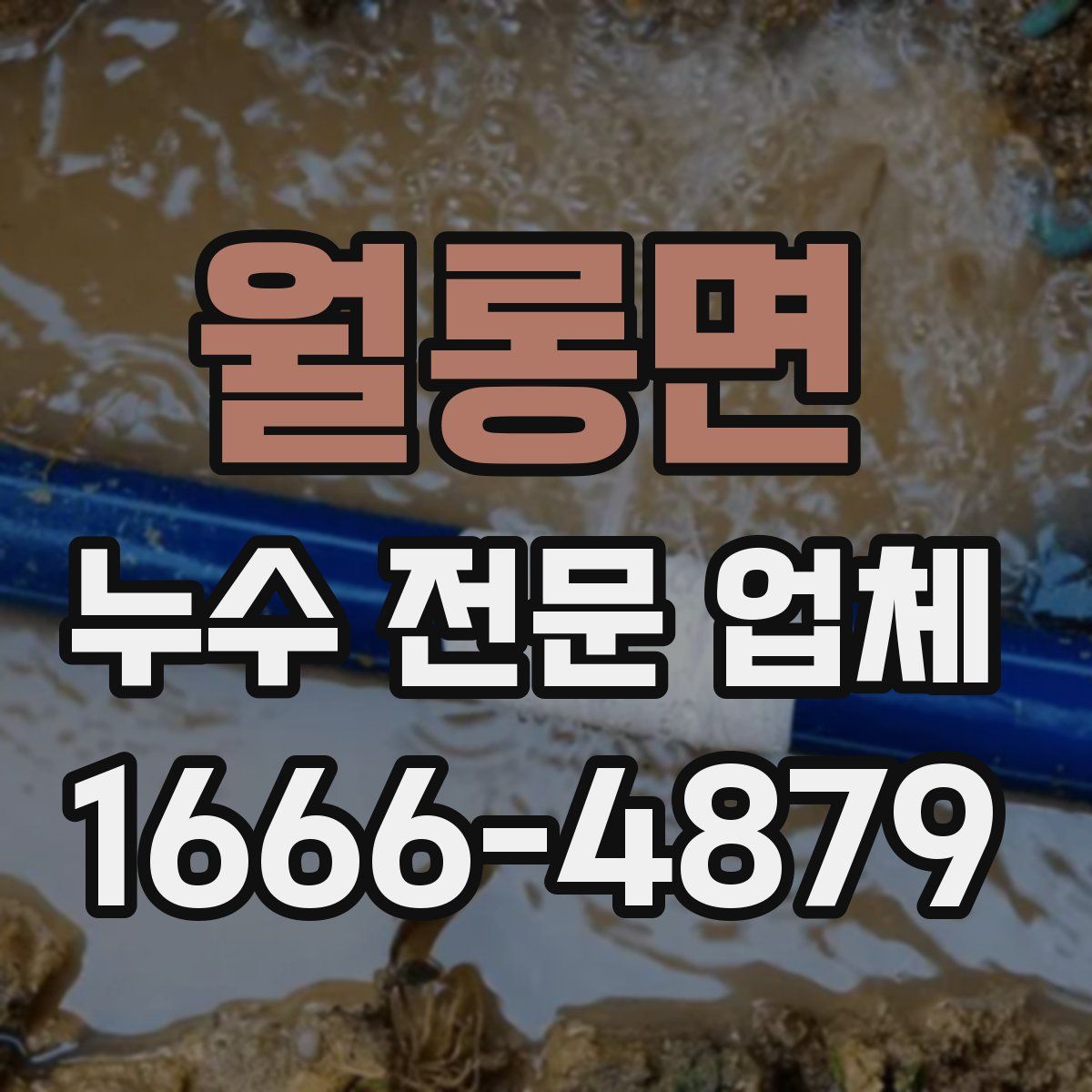월롱면 누수 전문 업체