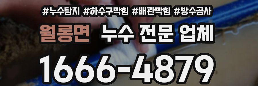 월롱면 누수 전문 업체