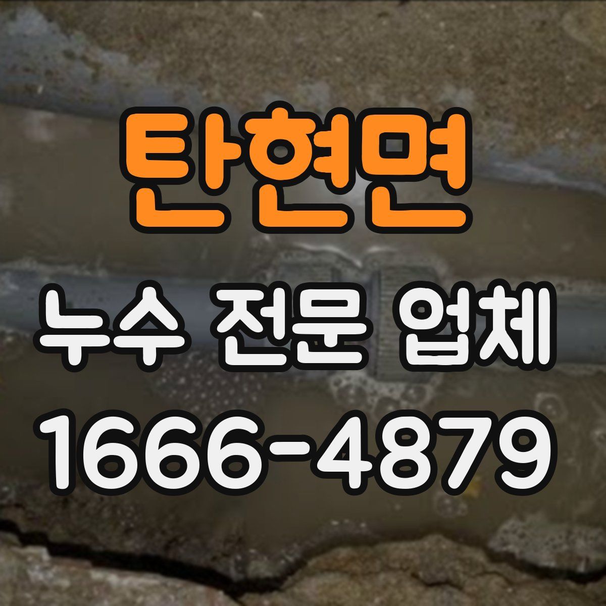탄현면 누수 전문 업체