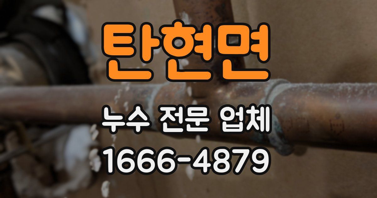 탄현면 누수 전문 업체