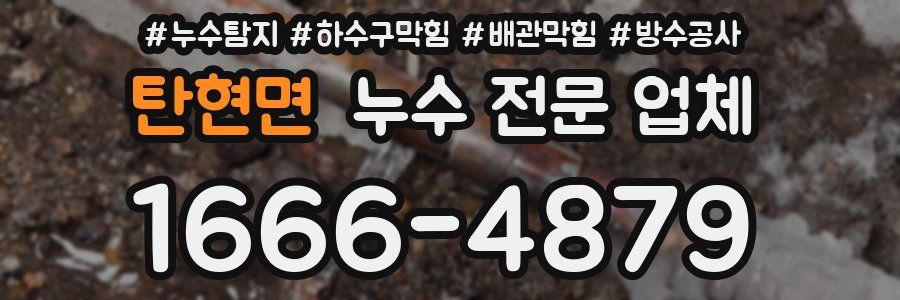 탄현면 누수 전문 업체