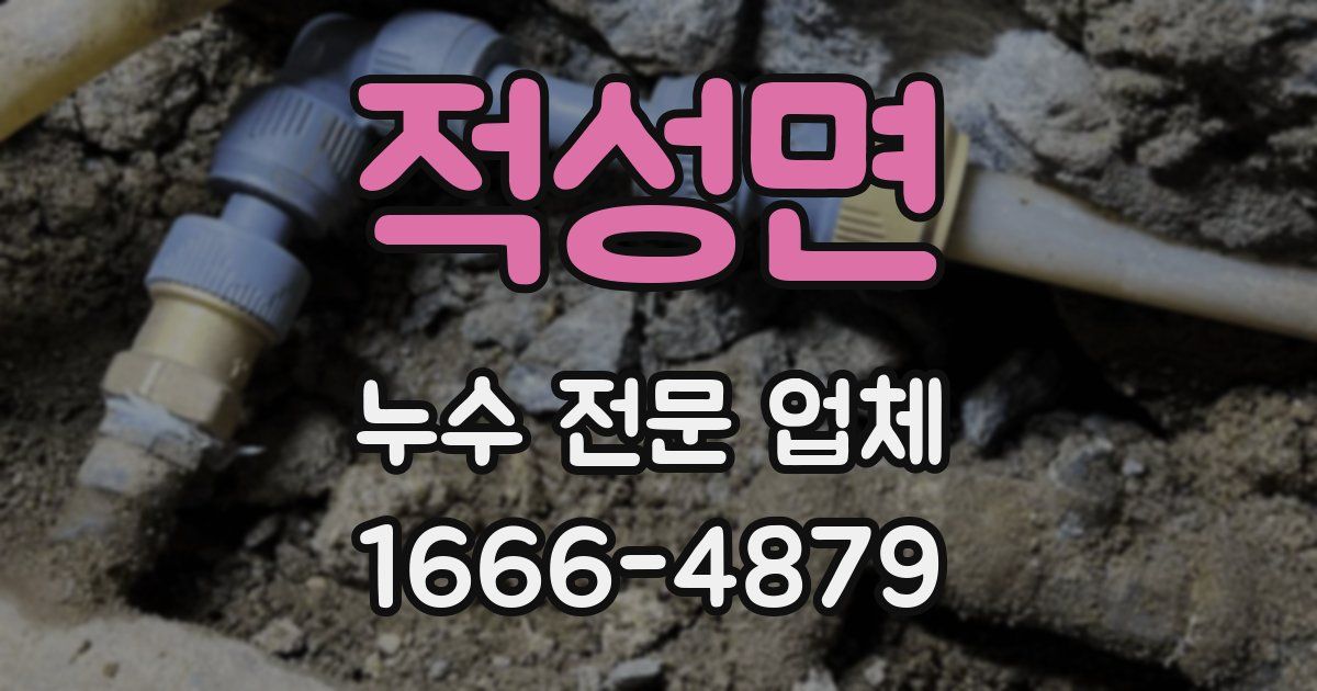 적성면 누수 전문 업체