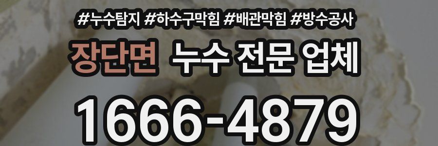 장단면 누수 전문 업체
