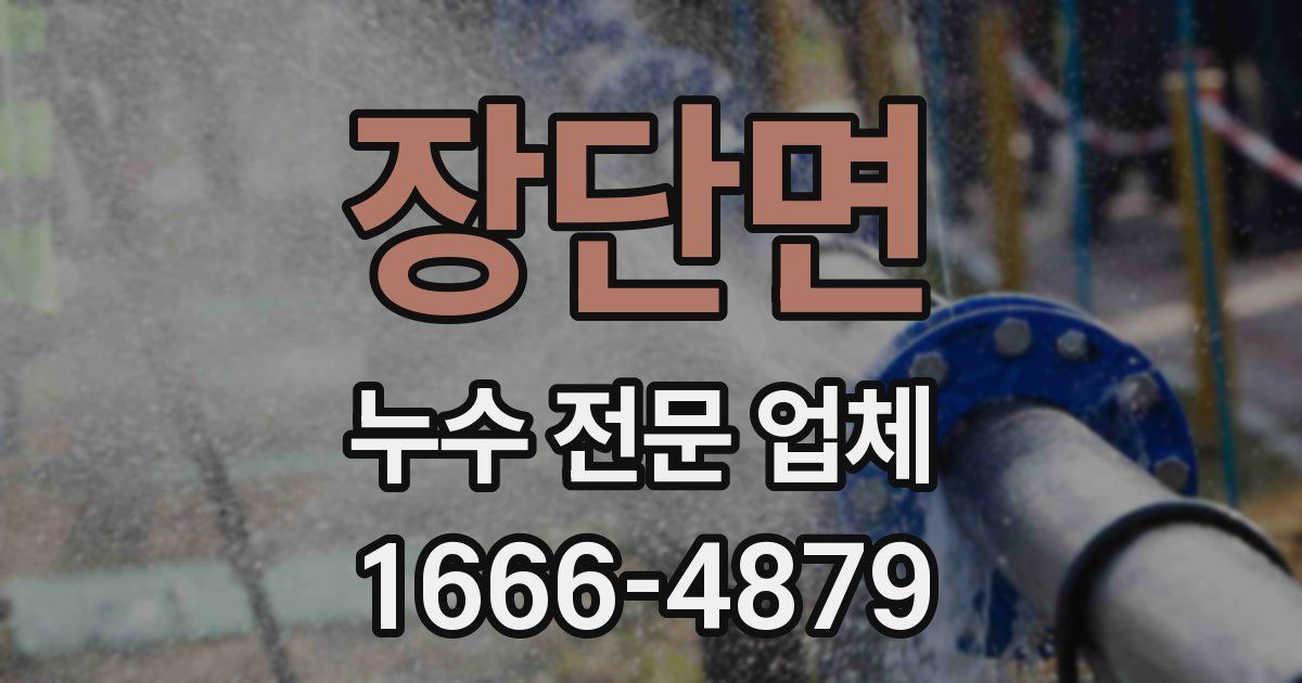 장단면 누수 전문 업체