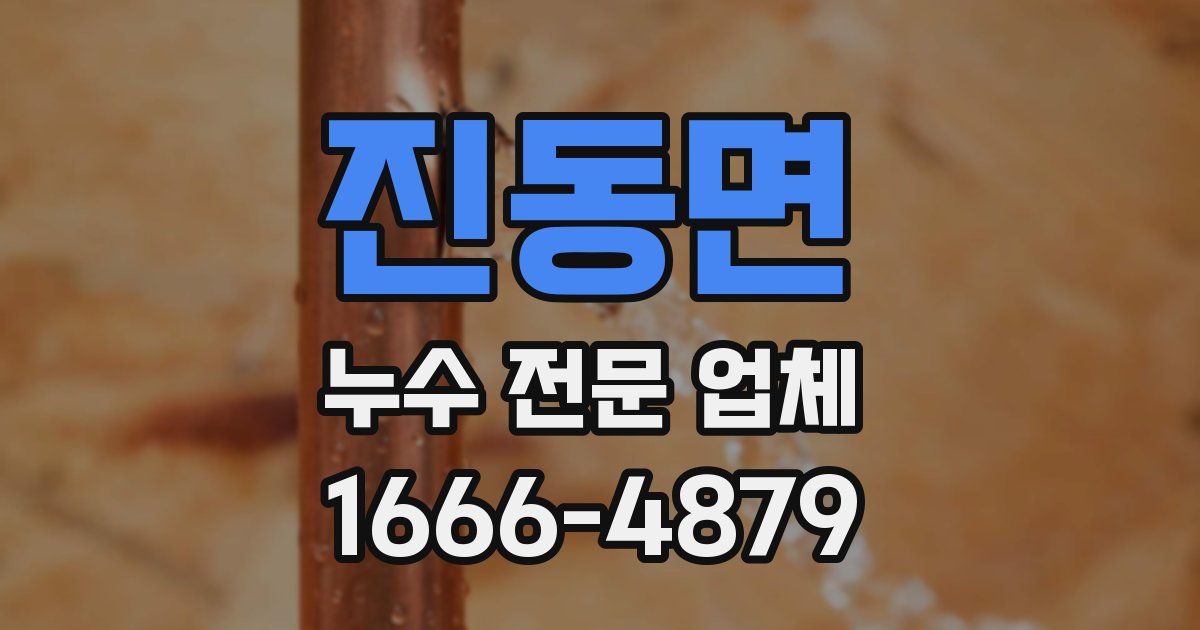 진동면 누수 전문 업체