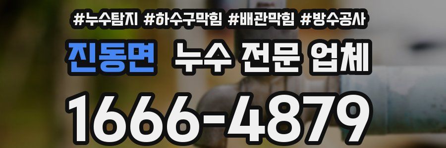 진동면 누수 전문 업체