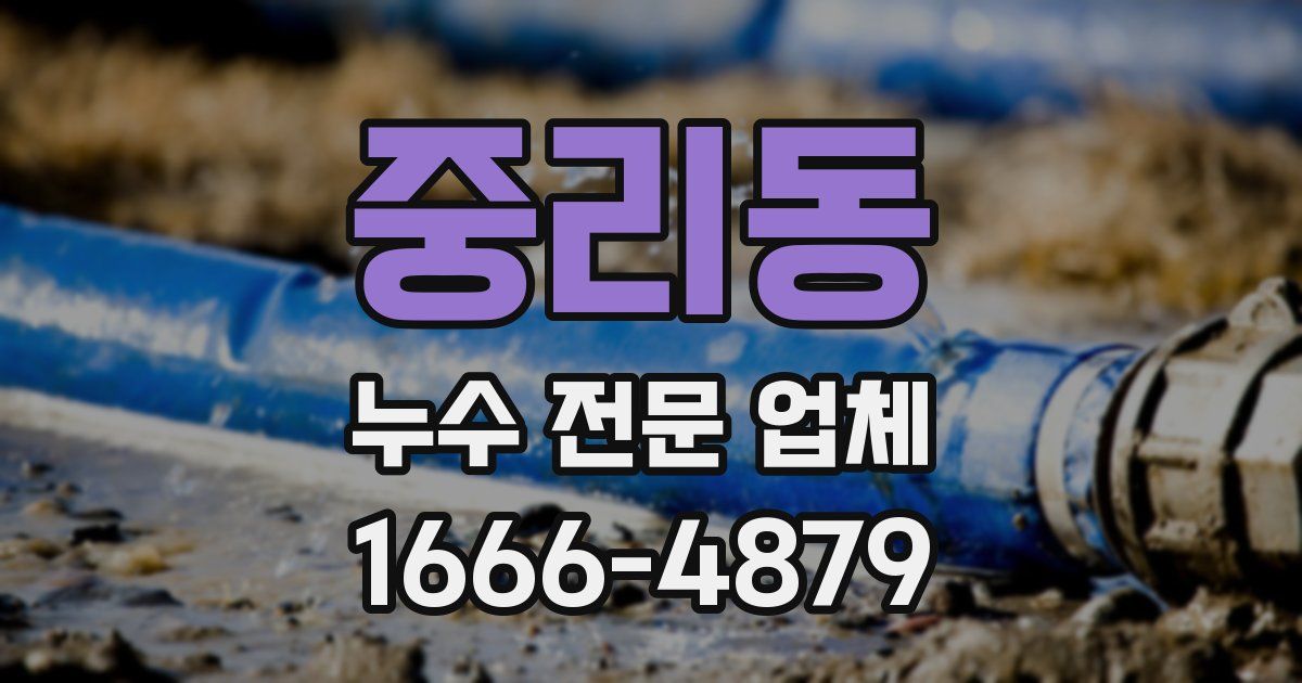 중리동 누수 전문 업체